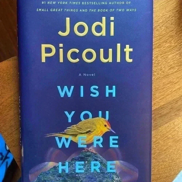 Jodi Picoult - Wish You Were Here - Picture 1 of 4